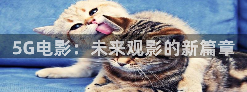 麻豆電影網在線觀看