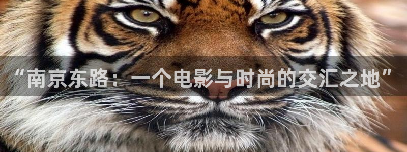 潦草影院麻豆：“南京東路：一個電影與時尚的交匯之地”
